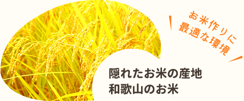 隠れたお米の産地　和歌山県のお米