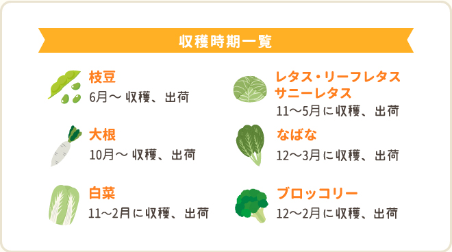 収穫時期一覧　枝豆：６月～　レタス：１１～５月　大根：１０月～　なばな：１２～３月　白菜：１１～２月　ブロッコリー：１２月～２月